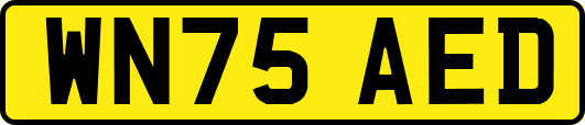 WN75AED