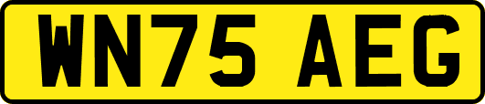WN75AEG