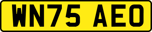 WN75AEO