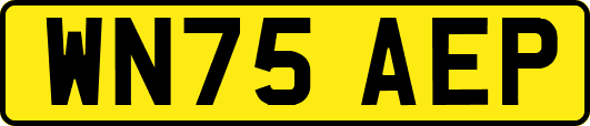 WN75AEP