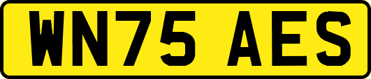 WN75AES