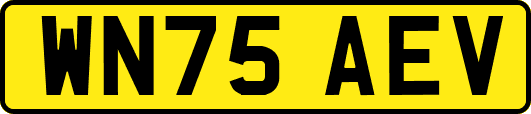 WN75AEV