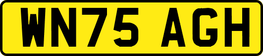 WN75AGH