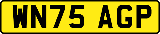WN75AGP