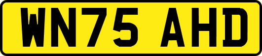 WN75AHD