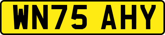 WN75AHY