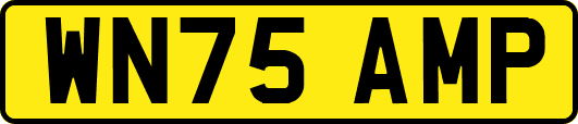 WN75AMP