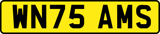 WN75AMS