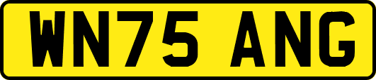WN75ANG