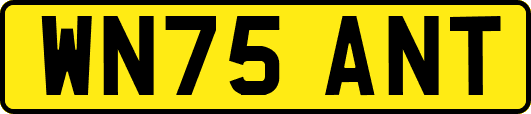 WN75ANT