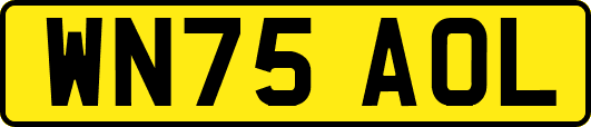 WN75AOL