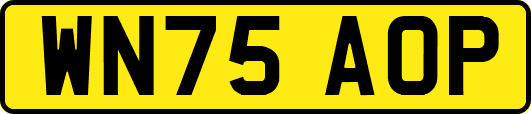 WN75AOP