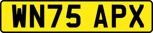 WN75APX