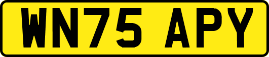 WN75APY
