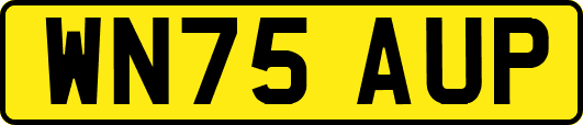 WN75AUP
