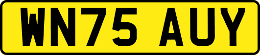 WN75AUY