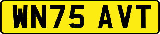 WN75AVT