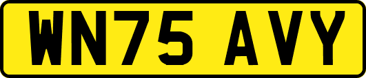 WN75AVY