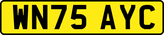 WN75AYC