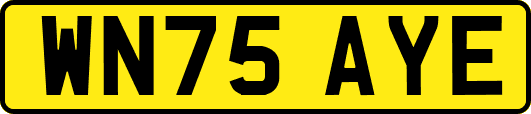 WN75AYE