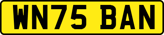 WN75BAN