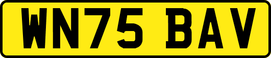 WN75BAV