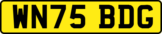WN75BDG