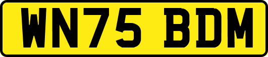 WN75BDM