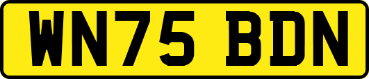 WN75BDN