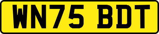 WN75BDT