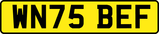 WN75BEF