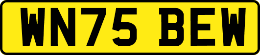 WN75BEW