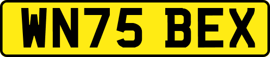 WN75BEX