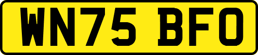 WN75BFO