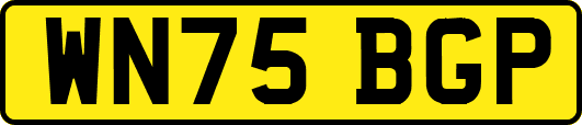 WN75BGP