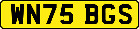 WN75BGS