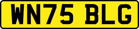 WN75BLG