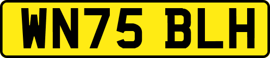 WN75BLH