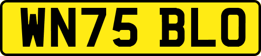 WN75BLO