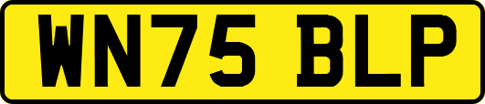 WN75BLP