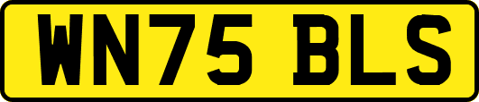 WN75BLS