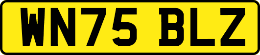 WN75BLZ