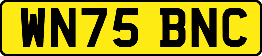 WN75BNC