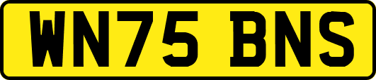 WN75BNS