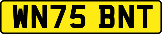 WN75BNT