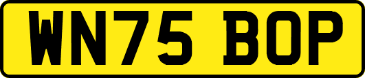 WN75BOP