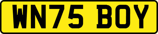 WN75BOY