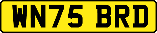 WN75BRD