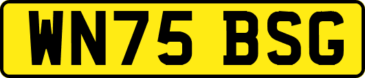 WN75BSG