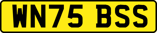 WN75BSS